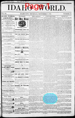 Page thumbnail for The Idaho World