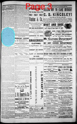 Page thumbnail for The Idaho World