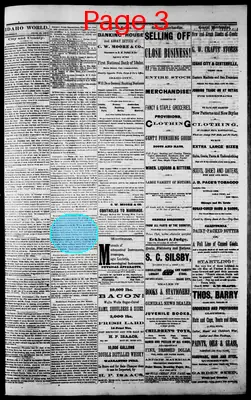 Page thumbnail for The Idaho World