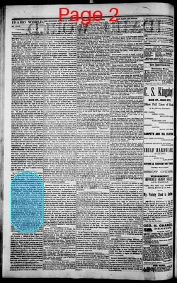 Page thumbnail for The Idaho World