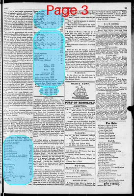 Page thumbnail for The Polynesian (Honolulu
