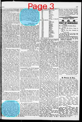 Page thumbnail for The Polynesian (Honolulu