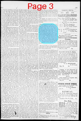 Page thumbnail for The Polynesian (Honolulu