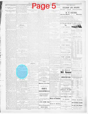 Page thumbnail for The Hawaiian Star