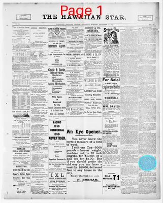 Page thumbnail for The Hawaiian Star