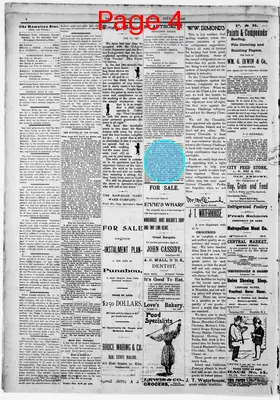 Page thumbnail for The Hawaiian Star