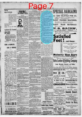 Page thumbnail for The Hawaiian Star