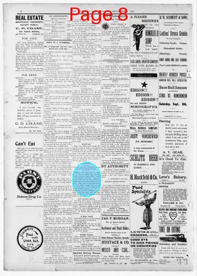 Page thumbnail for The Hawaiian Star