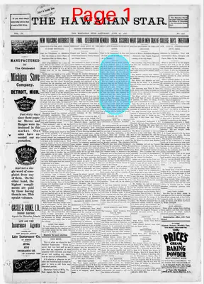 Page thumbnail for The Hawaiian Star