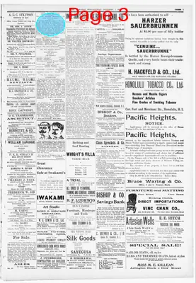 Page thumbnail for The Hawaiian Star