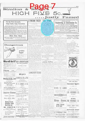 Page thumbnail for The Hawaiian Star