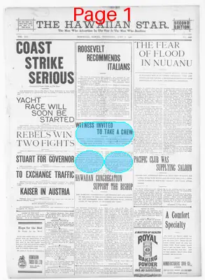 Page thumbnail for The Hawaiian Star