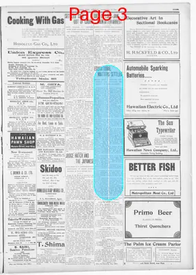 Page thumbnail for The Hawaiian Star