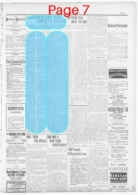 Page thumbnail for The Hawaiian Star