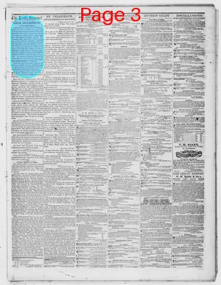 Page thumbnail for The Evansville Daily Journal