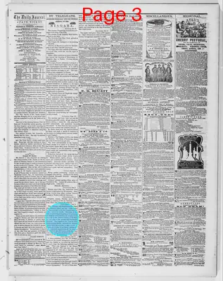 Page thumbnail for The Evansville Daily Journal