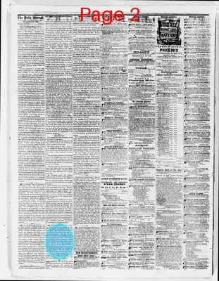 Page thumbnail for The Evansville Daily Journal