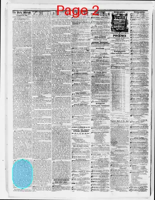 Page thumbnail for The Evansville Daily Journal