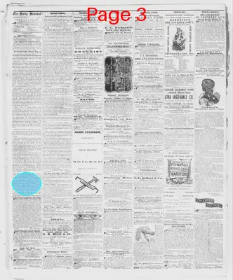 Page thumbnail for The Evansville Daily Journal
