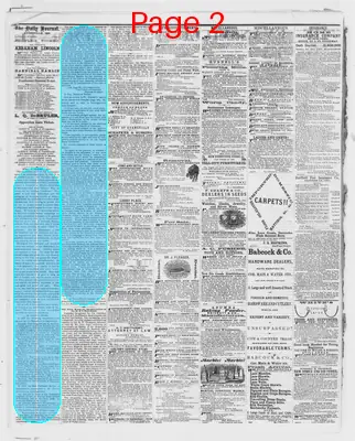 Page thumbnail for The Evansville Daily Journal