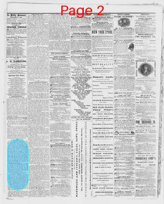 Page thumbnail for The Evansville Daily Journal