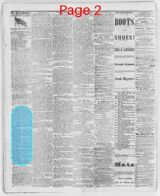Page thumbnail for The Evansville Daily Journal