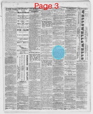 Page thumbnail for The Evansville Daily Journal