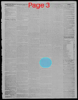 Page thumbnail for Indiana State Sentinel