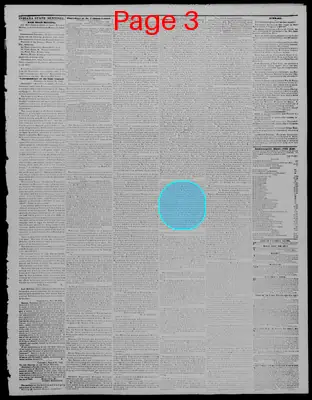 Page thumbnail for Indiana State Sentinel
