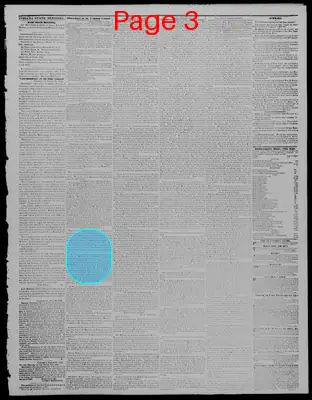 Page thumbnail for Indiana State Sentinel