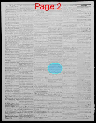Page thumbnail for Indiana State Sentinel