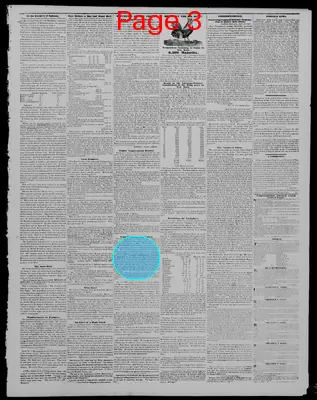 Page thumbnail for Indiana State Sentinel
