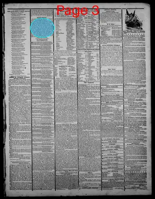 Page thumbnail for Indiana State Sentinel