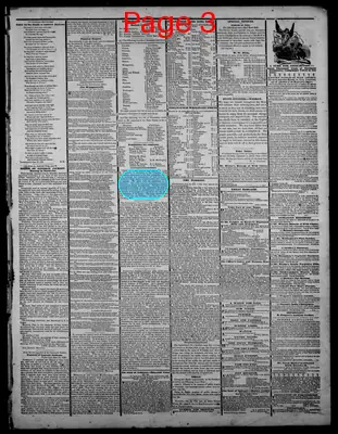 Page thumbnail for Indiana State Sentinel