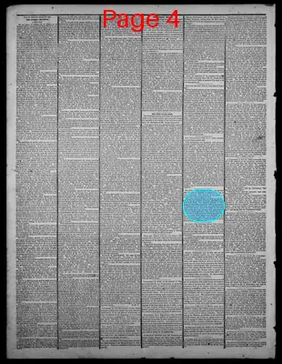 Page thumbnail for Indiana State Sentinel