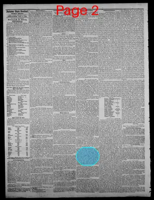Page thumbnail for Indiana State Sentinel