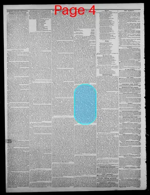 Page thumbnail for Indiana State Sentinel