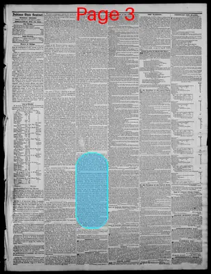 Page thumbnail for Indiana State Sentinel