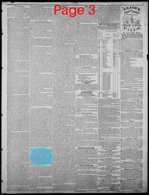 Page thumbnail for Indiana State Sentinel