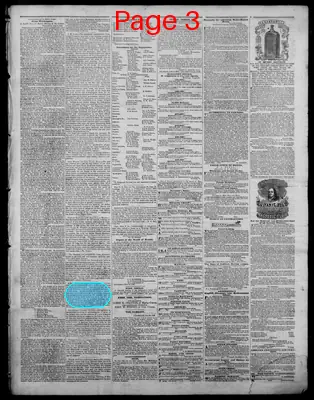 Page thumbnail for Indiana State Sentinel