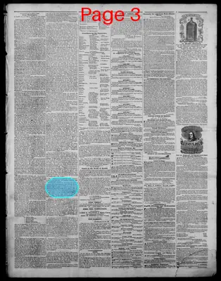 Page thumbnail for Indiana State Sentinel