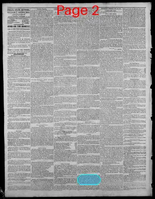 Page thumbnail for Indiana State Sentinel