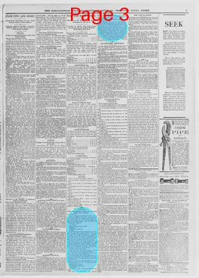 Page thumbnail for The Indianapolis Journal