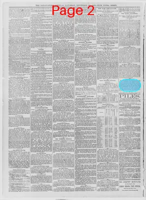 Page thumbnail for The Indianapolis Journal