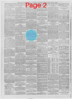Page thumbnail for The Indianapolis Journal