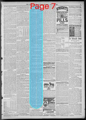 Page thumbnail for The Indianapolis Journal