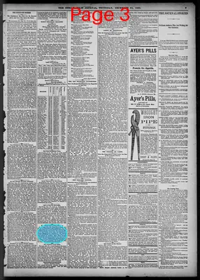 Page thumbnail for The Indianapolis Journal