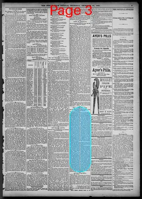 Page thumbnail for The Indianapolis Journal