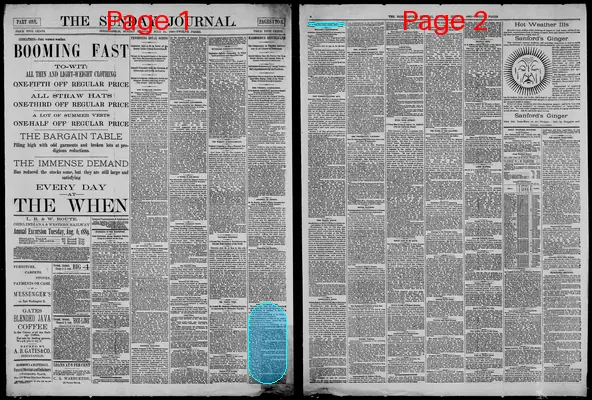 Page thumbnail for The Indianapolis Journal