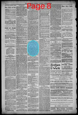Page thumbnail for The Indianapolis Journal